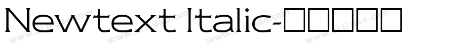 Newtext Italic字体转换